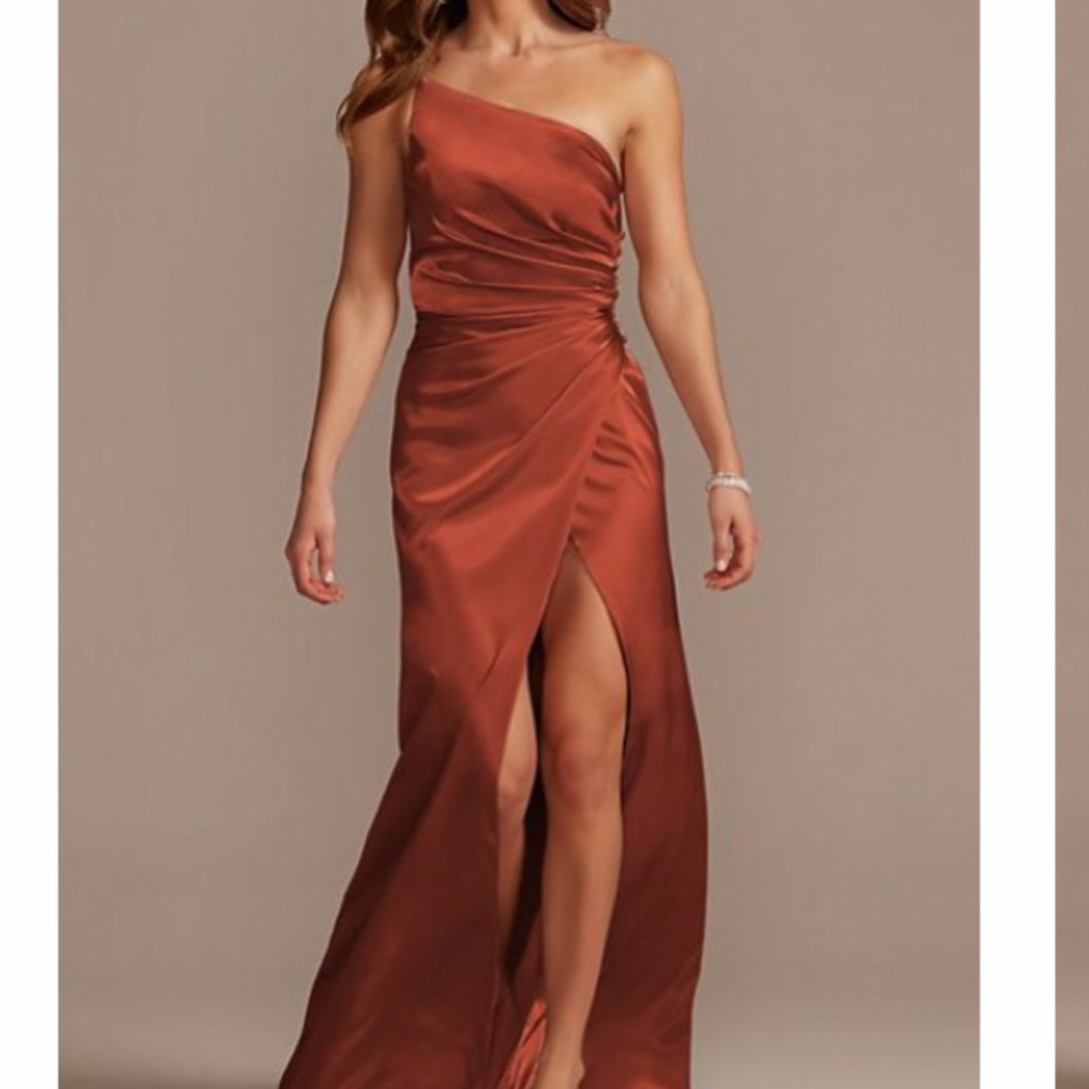 Galena Signature by David’s Bridal Cinnamon size 2